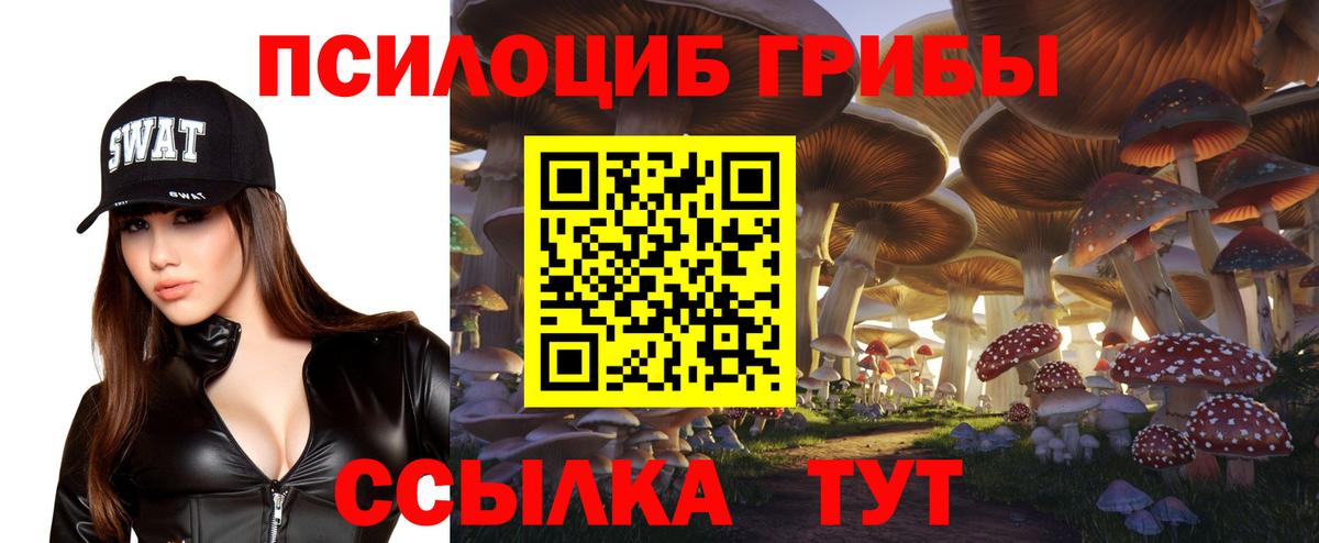 Гусь-Хрустальный  Псилоцибиновые грибы Psilocybine cubensis  Псилоцибиновые грибы прущие грибы  Вход с VPN 