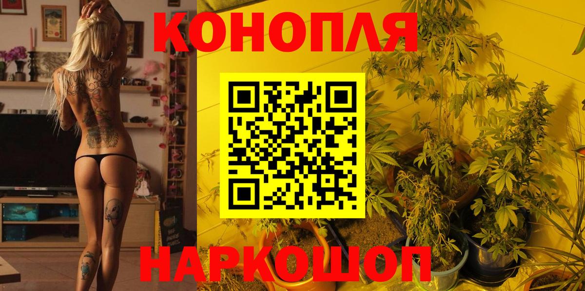 Бошки марихуана конопля Гусь-Хрустальный